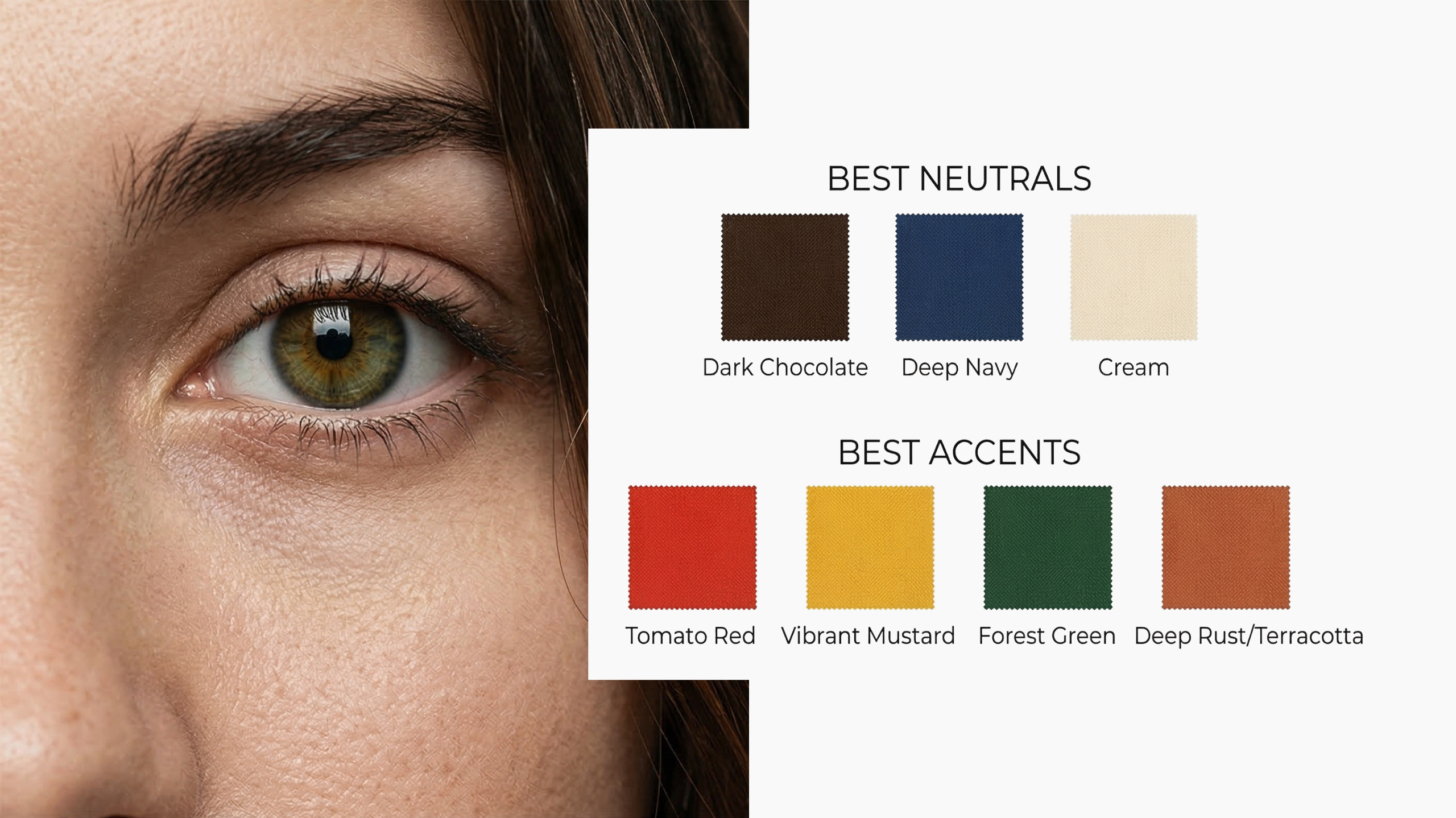 The Logic of Color: How to Build Your Perfect Palette