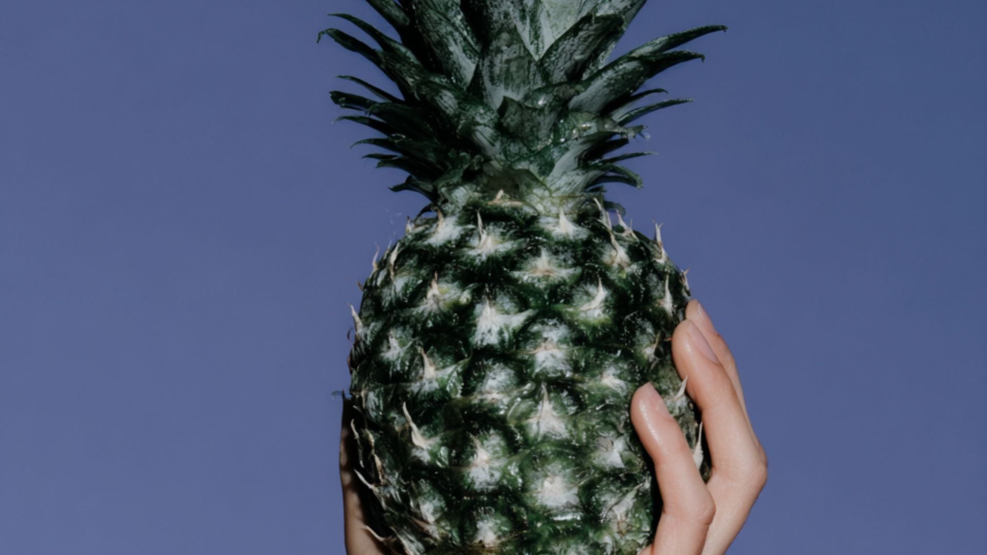 The Fruit of the Loom: Can We Grow Our Shoes Like Crops?