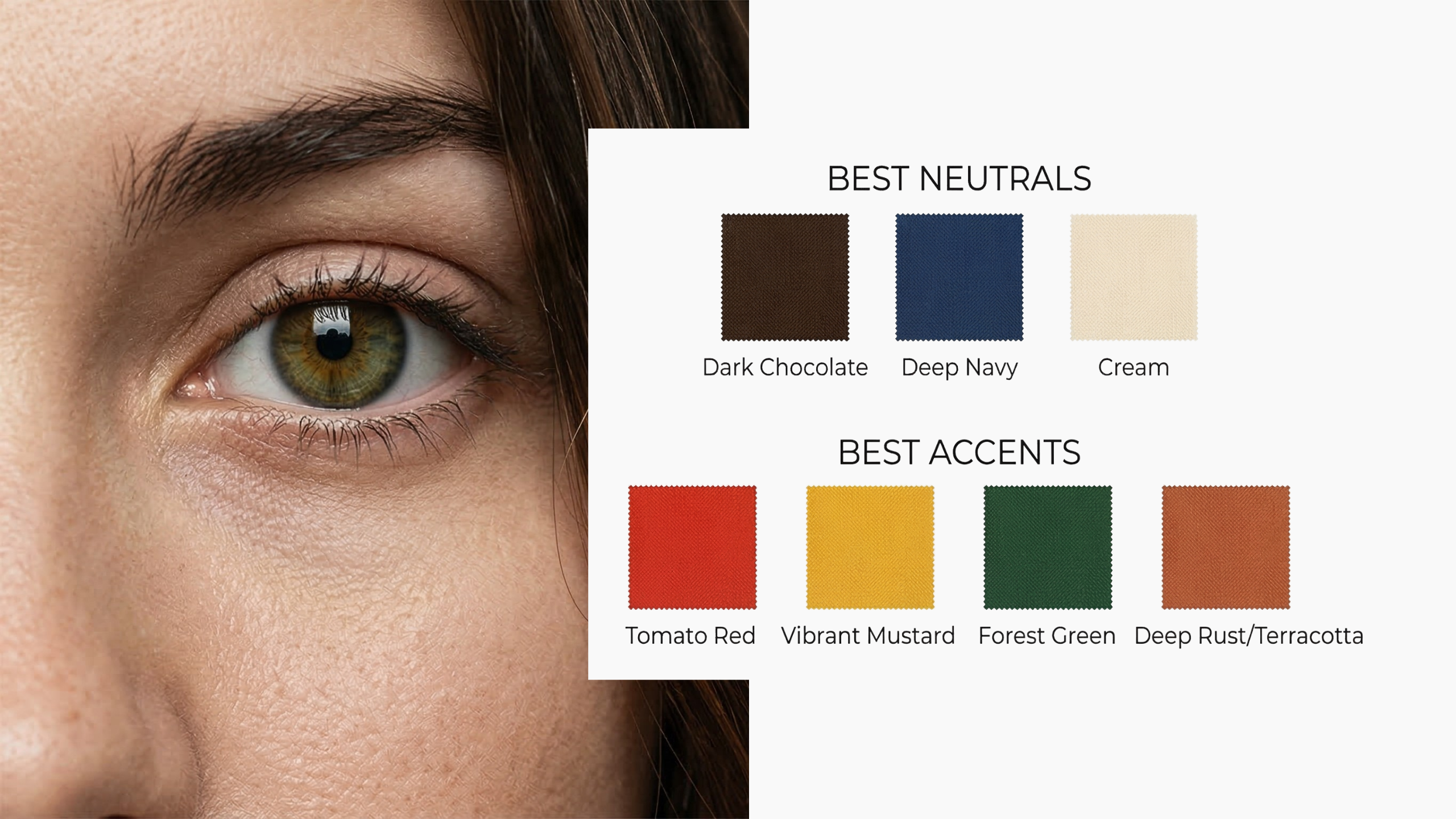 The Logic of Color: How to Build Your Perfect Palette