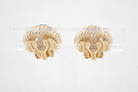 Pair of gold earrings on a white background