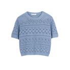 capsule-view:blue